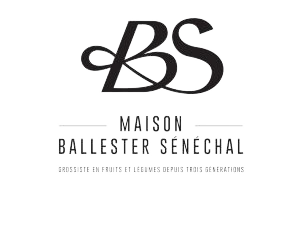 logo-ballester-300x234-removebg-preview.png